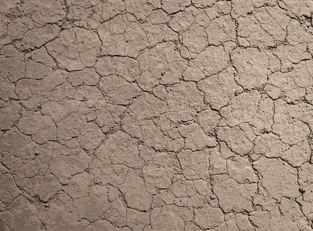 image of ground 
